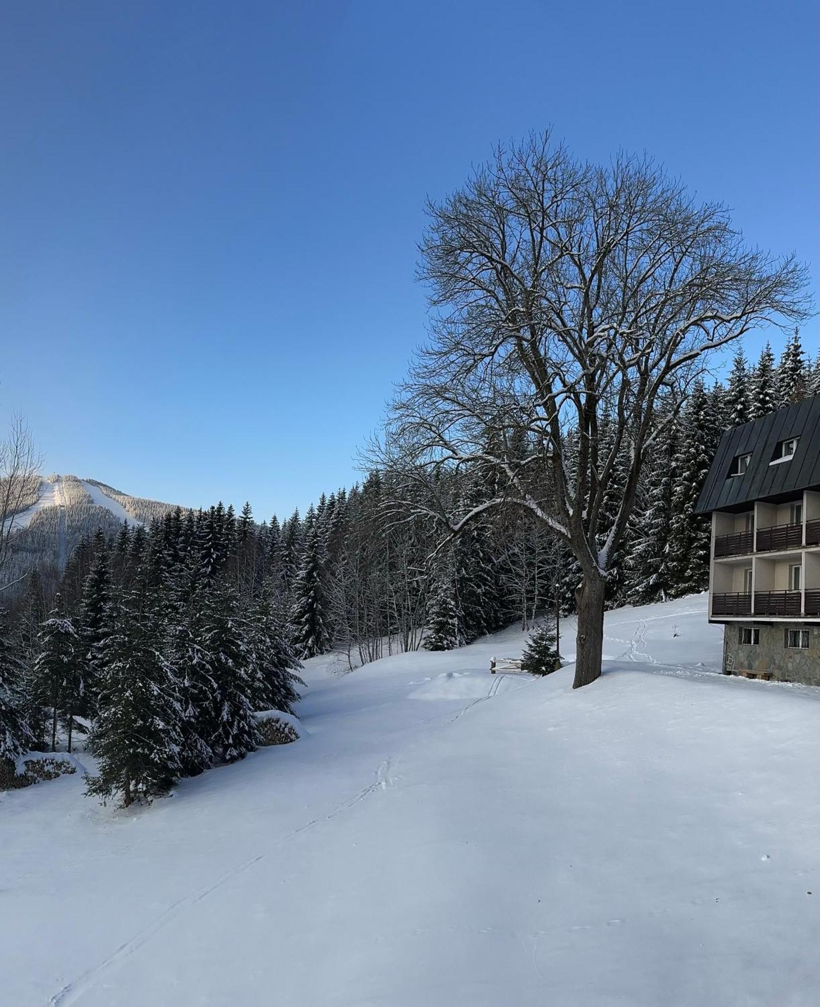 Hotel Horni Pramen Špindlerŭv Mlýn Εξωτερικό φωτογραφία